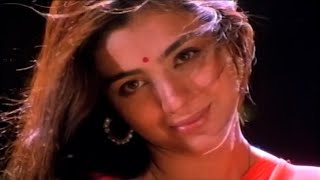 Yetovelli Poindi Manasu Full Video Song  Ninne Pelladatha Movie Songs  NagarjunaTabu [upl. by Nitsraek]