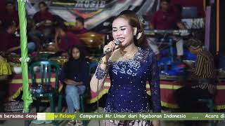 SINDEN GALI SEWULAN MANING  Pelangi music  artomoro pro [upl. by Ettenay3]