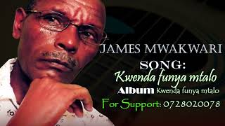 James Mwakwari  Kwenda funya mtaloOfficial Audio [upl. by Eenal912]