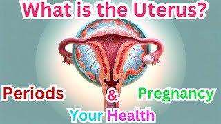 What is the Uterus [upl. by Terces]