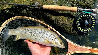 Euronymping for soft mouth trout  Neretva Konjic  August 2024 [upl. by Clorinda405]