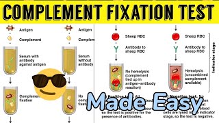 Complement Fixation Test Made Easy😎😎immunology [upl. by Joacimah]