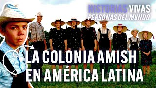 Los amish americanos ¿una colonia menonita en sudamérica  Historias Vivas  Documental HD [upl. by Still]