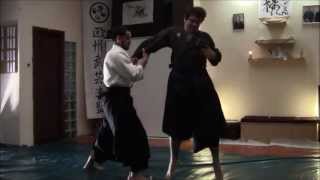 Ogawa Ryu  Aikijujutsu Sanbon me Training Moments [upl. by Hgielar]