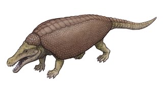 Paleo Profile  Armadillosuchus [upl. by Adoree]