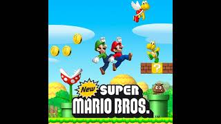 Underground Theme Hurry  New Super Mario Bros DS [upl. by Coffey790]