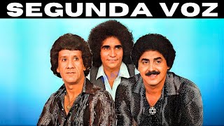 Fuscão Preto  Trio Parada Dura Karaokê Com Segunda Voz 1981 [upl. by Seadon493]