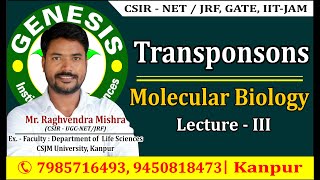 Transposable elements Lecture  3 Molecular Biology CSIR NETJRF [upl. by Burnham203]