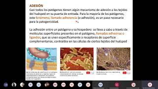 Mecanismos de Patogenicidad  Microbiología [upl. by Saravat]