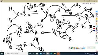 CHIMIE ORGANIQUE FONCTIONELLE S5chapitre1 les amines video4 [upl. by Jada889]