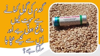 wheat pill poisoning and its management in urdu drrafiqmalik [upl. by Chun]