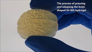 Precisely printable and biocompatible silk fibroin bioink for digital light processing 3D printing [upl. by Ximenes]