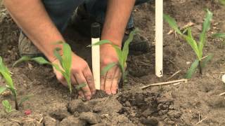 Soil Sensors and ETgages  Aaron Nygren  May 31 2013 [upl. by Ariajaj934]