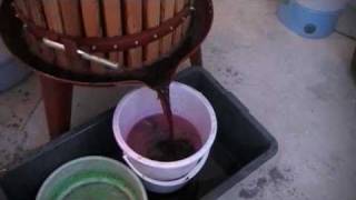 How to make wine in Bulgaria [upl. by Haroppizt]