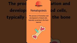 Hematopoiesis Blood Cell Formation Explained [upl. by Euphemie363]