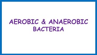 Aerobic amp Anaerobic Bacteria Lecture [upl. by Nidya27]