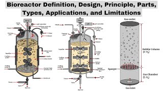 Bioreactors  Design Principle Parts Types Applications amp Limitations  Biotechnology Courses [upl. by Ayle]