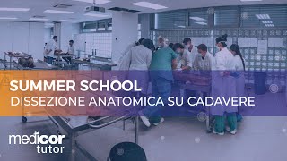 Summer School  Dissezione Anatomica su Cadavere  Medicor Tutor [upl. by Mair]