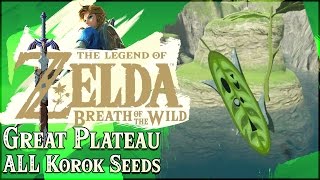 The Legend of Zelda Breath of the Wild  ALL Great Plateau Korok Seeds [upl. by Wehttan]