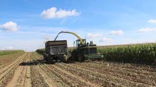 Ensilage de maïs JOHN DEERE 6950 JOHN DEERE 4240 S [upl. by Armando898]