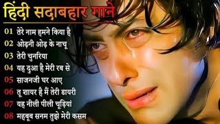 Hindi Gana🌹Sadabahar Song 💖हिंदी गाने 💔Purane Gane Mp3 💕Filmi Gaane अल्का याग्निक कुमार सानू गीत [upl. by Sabra]