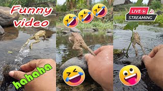 Catching frog funny for fun  funny animal video  cute frog jumping in river [upl. by Ochs]