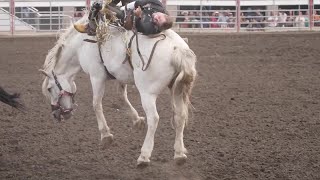 Rodeos baddest bucking horse C5 Rodeos Virgil [upl. by Hoskinson]