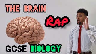 Science Raps GCSE Biology  The Brain [upl. by Halbert171]