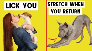 15 Weird Dog Behaviors Explained 🔥 [upl. by Nytsyrk]