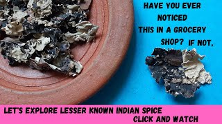 Mysterious and lesserknown Indian spice  quotKalpasiquot Secret ingredient in Indian meat curries [upl. by Eimrej]