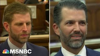 ‘Very fraught very contentious’ Eric Trump’s second day testimony in NY fraud trial scrutinized [upl. by Marrilee]