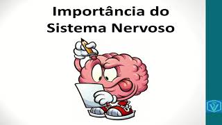 Fisiologia Do Sistema Nervoso  Parte 01  Funcionamento Básico e Importância [upl. by Knute]