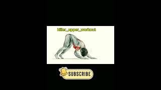 KillerUpperBodyworkout shorts ytshorts shortsfeed viralvideo [upl. by Sisto]