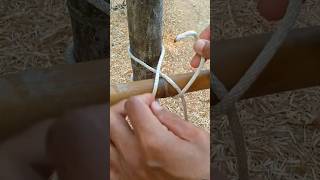 Knots diy knotting diy satisfying rope squareknot knotwork diygardening [upl. by Yenoh]