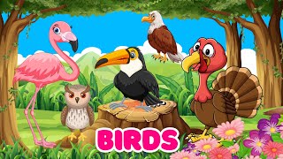 Birds for kids  Bird Song  Bird sounds  Learn birds [upl. by Liahkim]