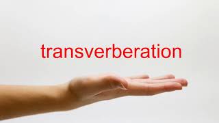 How to Pronounce transverberation  American English [upl. by Arocal]