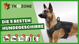 Die 5 besten Hundegeschirre [upl. by Ayital]