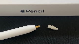 5 Signs its time to change your Apple Pencil Tip [upl. by Claudian540]