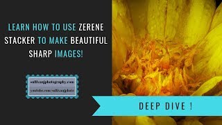 Learn Zerene Stacker to Make Beautiful Sharp Images [upl. by Jezrdna685]