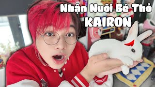 Kairon Nhận Nuôi BÉ THỎ MỚI  Một Ngày Của Bé Thỏ [upl. by Agnesse]