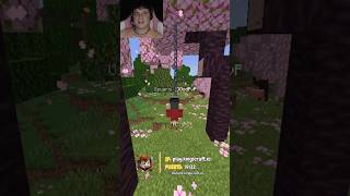 ¡La TRAMPA a unos duplicadores de mi servidor de Minecraft 🤯😱 minecraft shorts viral [upl. by Demetris]