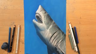 Great White Shark Drawing in Pastel and Colored Pencil [upl. by Led73]