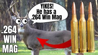 264 Win Mag vs Deer [upl. by Sansbury686]