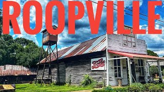 ROOPVILLE GEORGIA Revisited Explore this tiny rural GA town Pop 200 [upl. by Ahsatal]