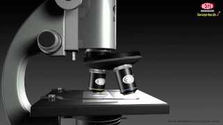 MICROSCOPE WORKING IN ANIMATION [upl. by Rurik544]