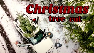 DAY IN THE LIFE  CHRISTMAS TREE CUT  HYGGE [upl. by Aremahs595]