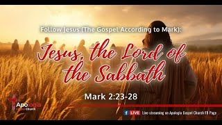 Follow Jesus Jesus the Lord of the Sabbath Mark 22328 [upl. by Lienad144]