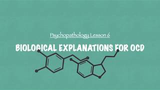 ALevel Psychology AQA Biological Explanations for OCD [upl. by Safire694]