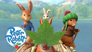 Peter Rabbit  Camping by the Lake  Cartoons for Kids [upl. by Noed]