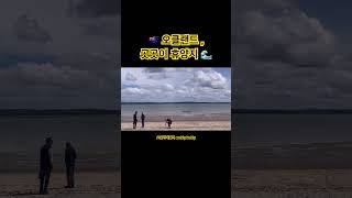 🇳🇿 오클랜드 살면 당분간 휴양지 안가도 되겠는데요 오클랜드브이로그 뉴질랜드 오클랜드여행 [upl. by Enneicul613]